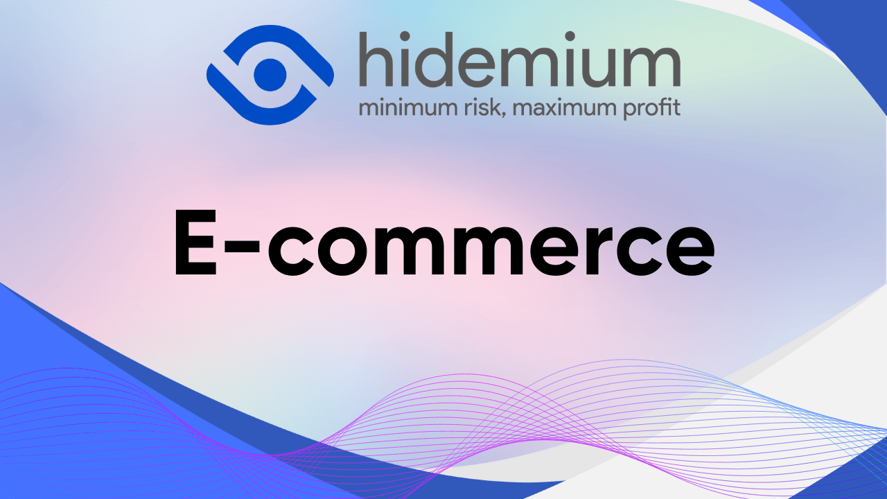1737793749016_Ecommerce.png